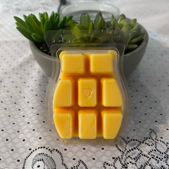 🥀 New! Beauty and the Beast Scentsy Wax Melt The Last Petal - Picture 2 of 3